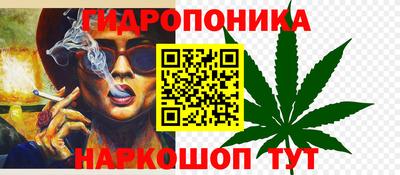 стаф Заволжье