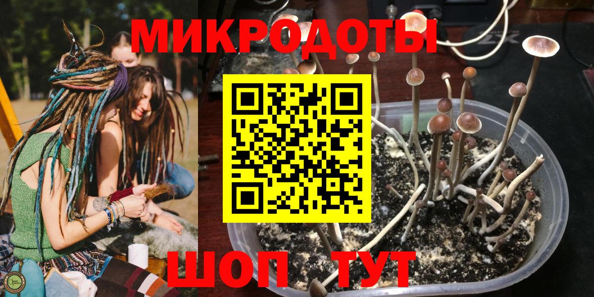 Псилоцибиновые грибы Psilocybine cubensis Мирный