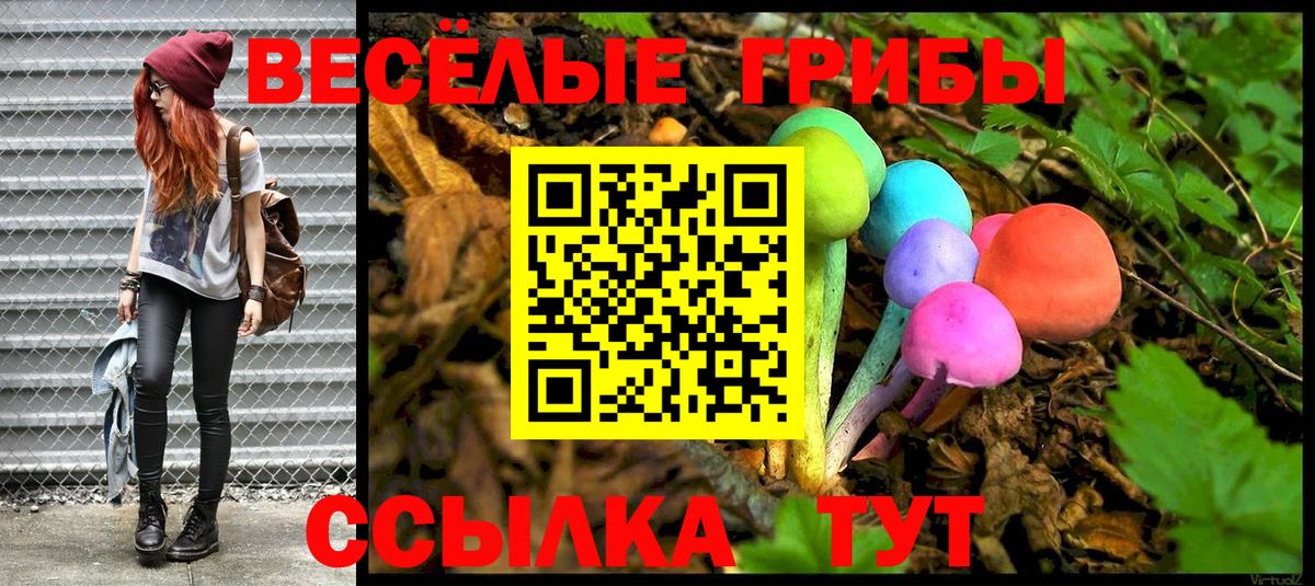 Псилоцибиновые грибы Psilocybine cubensis  купить наркоту  Мирный  Вход с VPN 
